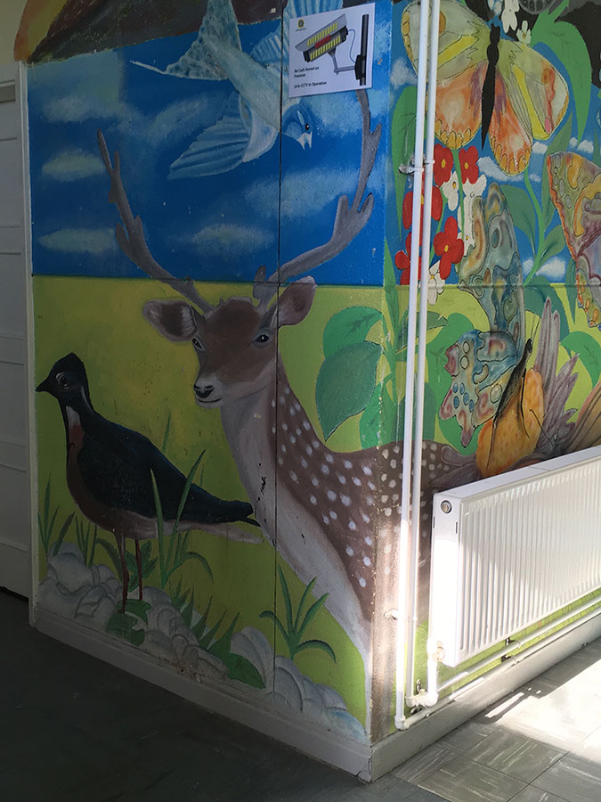 Deer and flowers mural painted on school wall